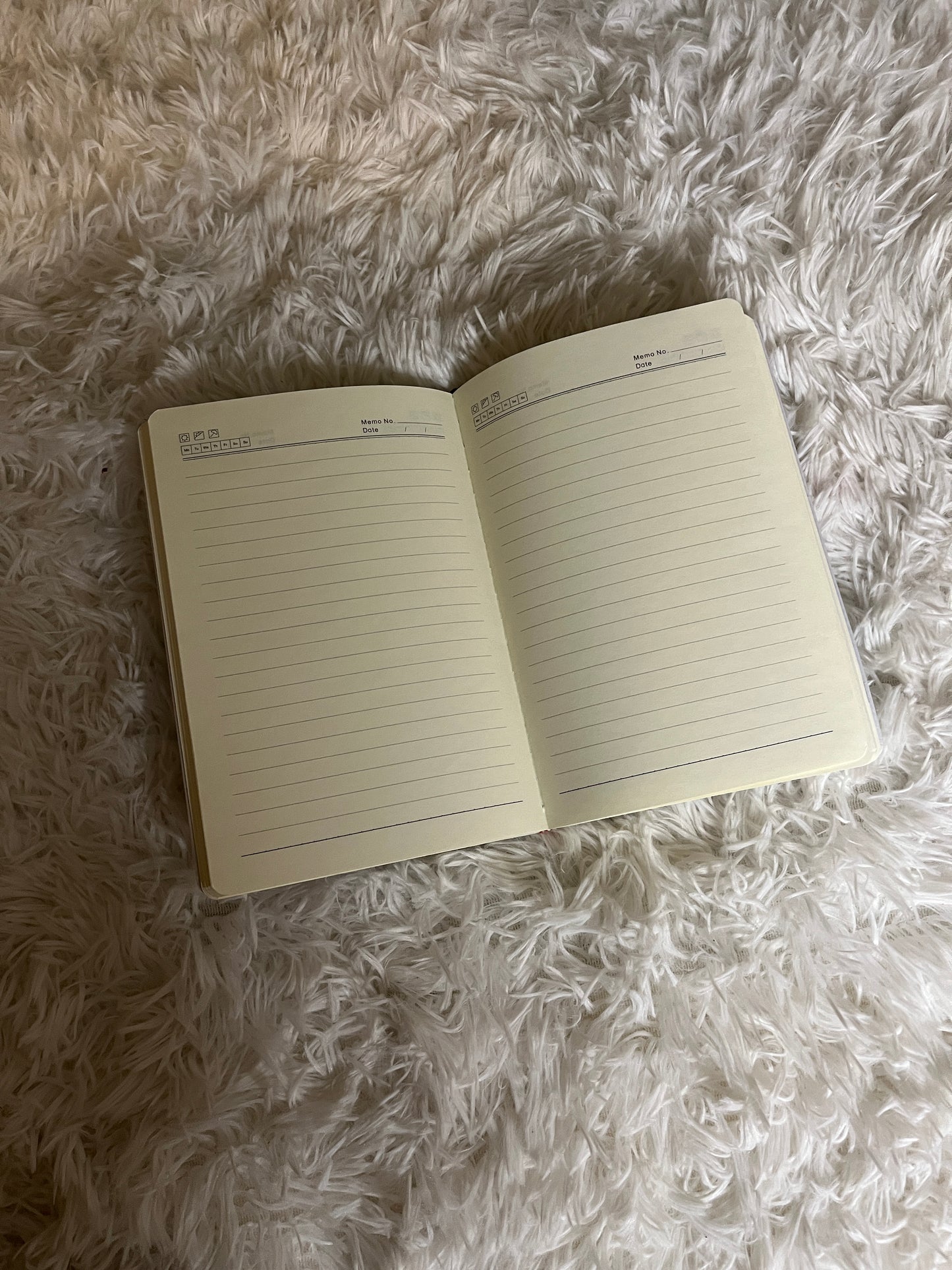 My Daily Bible Journal